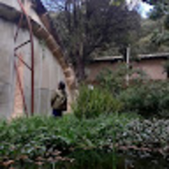 Meet your Posher, Tina - Picture 1 of 1